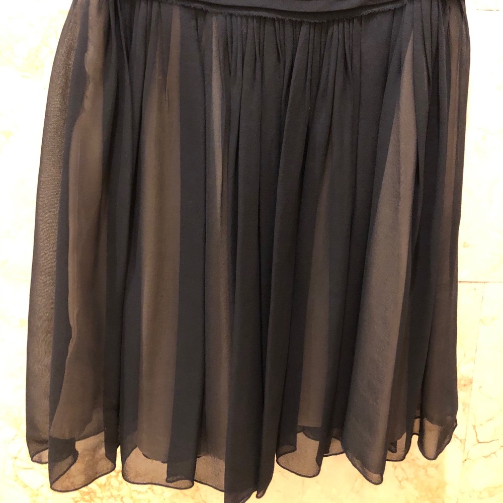 Banana Republic Silk Sheer Skirt